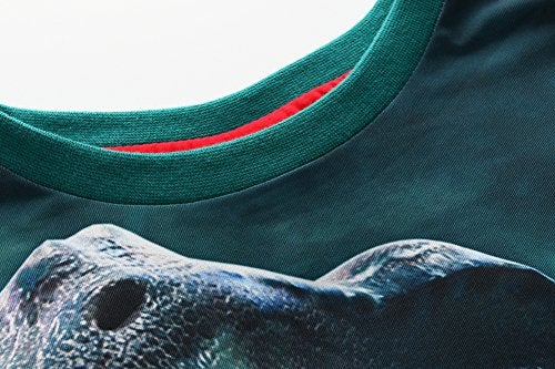 Frogwill Toddler Boys Dinosaur Park Short Sleeve 3D T-Shirt 9/10Y - Image 4