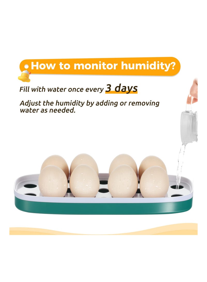 SOLARAE Egg Incubator, 8 Eggs Incubator with Led Candler Temperature Humidity Control and Display, Digital Incubator Educational Tool for Chicken Duck Goose Quail Bird Eggs, A Great Educational Tool - Image 4