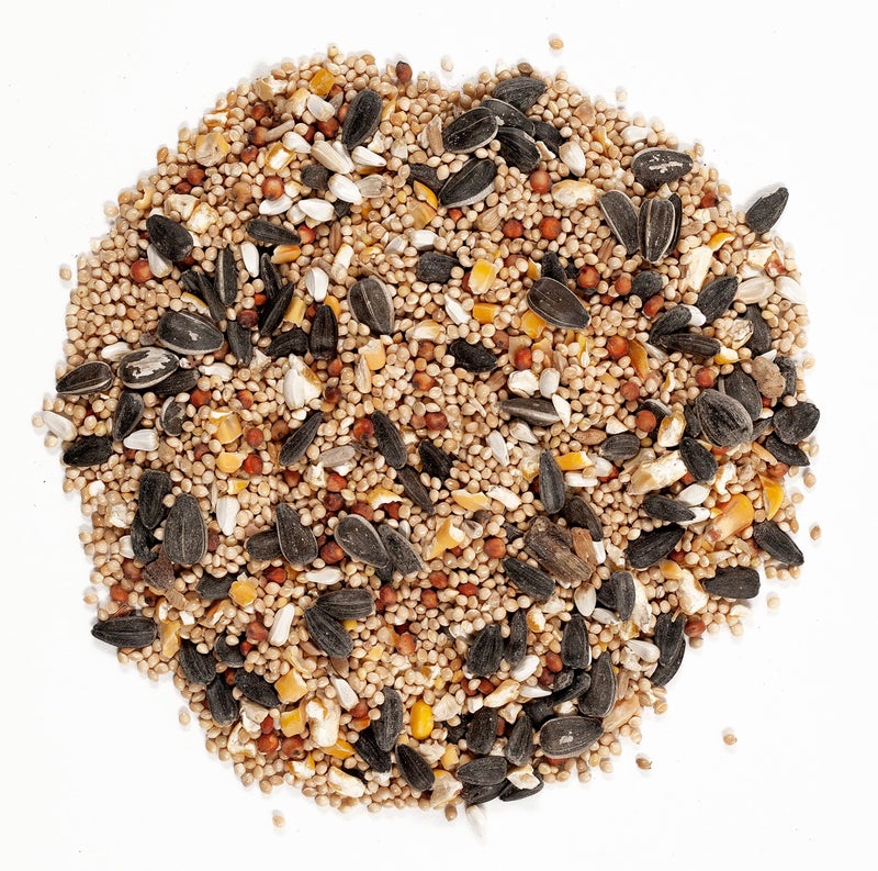 Wagner's 62004 Eastern Regional Wild Bird Food, 20-Pound Bag - Image 3