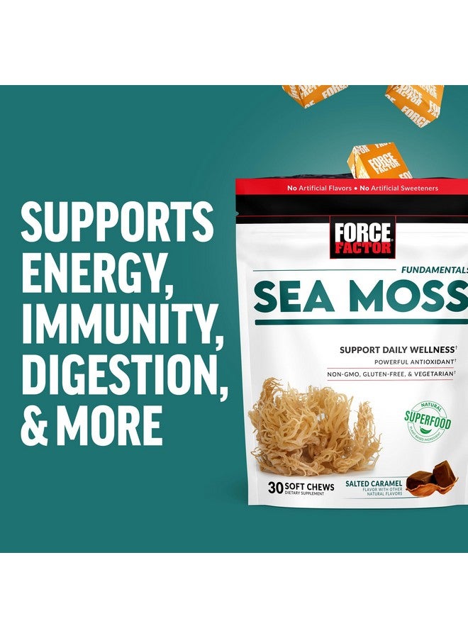 فوريس فاكتور علكات ناعمة من الطحالب البحرية من FORCE FACTOR، لدعم المناعة وصحة القلب، مكمل غذائي خارق من الطحالب البحرية الأيرلندية ومضادات الأكسدة، خالية من الكائنات المعدلة وراثيًا، خالية من الجلوتين، بنكهة الكراميل المملح، 90 علكة ناعمة، 3 عبوات، 18 أونصة - Image 5