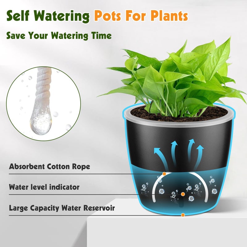 KvyusFlourish Self Watering Pots for Indoor Plants, 12-Pack 5'' Self Watering Planter with Drainage Holes, Small African Violet Pots with Water Level Indicator, Clear Wick Pot, Black - Image 4