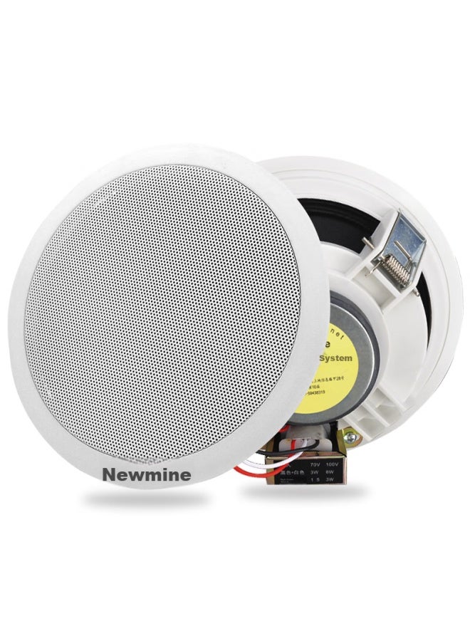 Newmine نظام صوتي جديد من نيوماين R16 بسماعات سقف ذات جهد ثابت، نظام مكبر صوت للموسيقى الخلفية في الأسقف المعلقة (واحد إلى) - Image 5