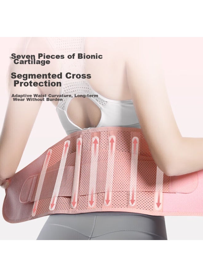 Tmt Waist Support Sports Fitness Belt For Women, Running Abdominal Compression Waist Trimmer, Long-sitting Back Support, Waist Brace, Breathable Waist Protection Device - Image 2