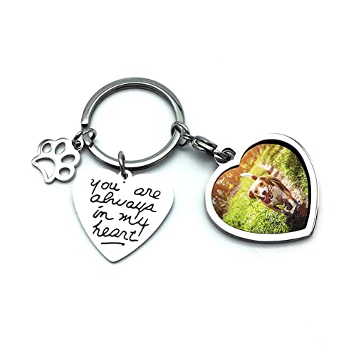 bouti1583 Pet Dog Remembrance Memorial Photo Frame Keychain Gifts, Pet Sympathy Present,You are Always in My Heart - Image 5