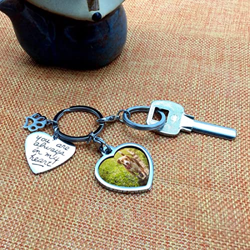 bouti1583 Pet Dog Remembrance Memorial Photo Frame Keychain Gifts, Pet Sympathy Present,You are Always in My Heart - Image 3