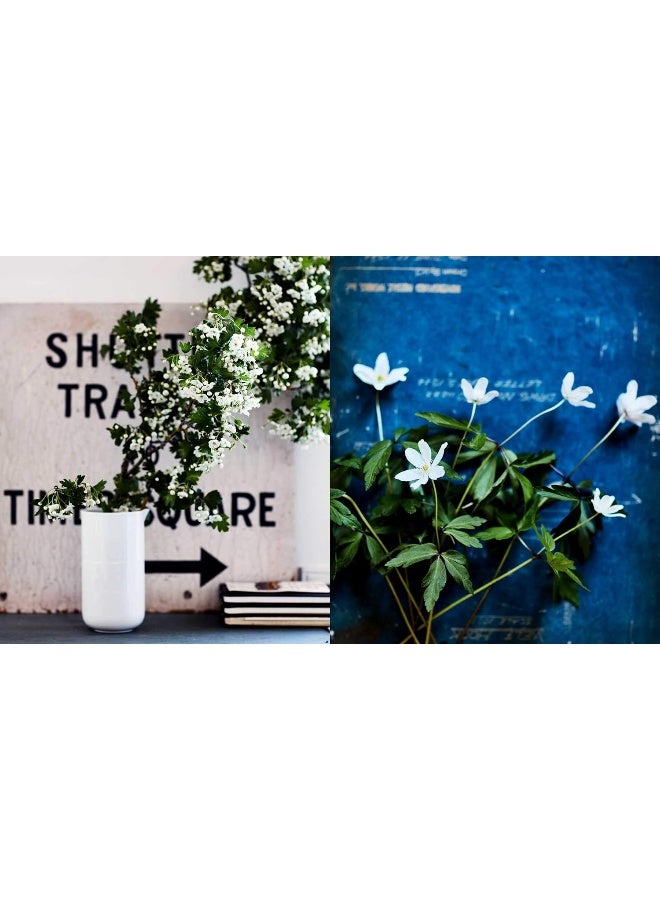 Inspired By Nature: Creating A Personal And Natural Interior - Image 4