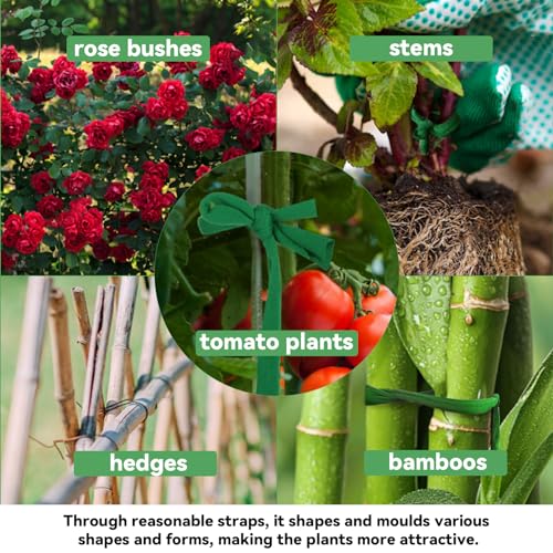 MAQIHAN 2 Pack Garden String - Plant Ties, Garden Twine, Gardening Tape, Tree Support, Stretchy Trap for Trees,Flowers,Green Soft Ties for All Plants All Gardeners(35M/Roll,115FT) - Image 3