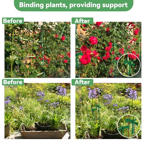 MAQIHAN 2 Pack Garden String - Plant Ties, Garden Twine, Gardening Tape, Tree Support, Stretchy Trap for Trees,Flowers,Green Soft Ties for All Plants All Gardeners(35M/Roll,115FT) - Image 4