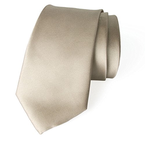 Spring Notion Men's Solid Color Satin Microfiber Tie, Regular Champagne - Image 1