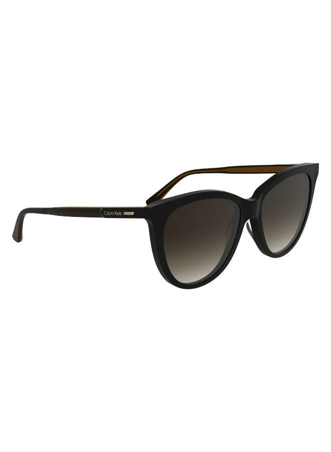 كالفن كلاين Butterfly Sunglasses