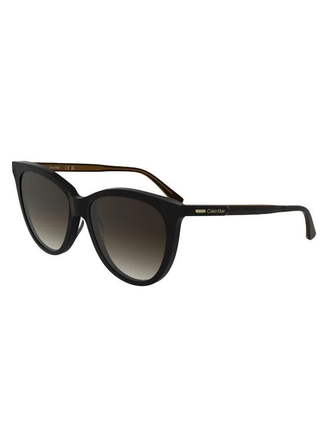 كالفن كلاين Butterfly Sunglasses