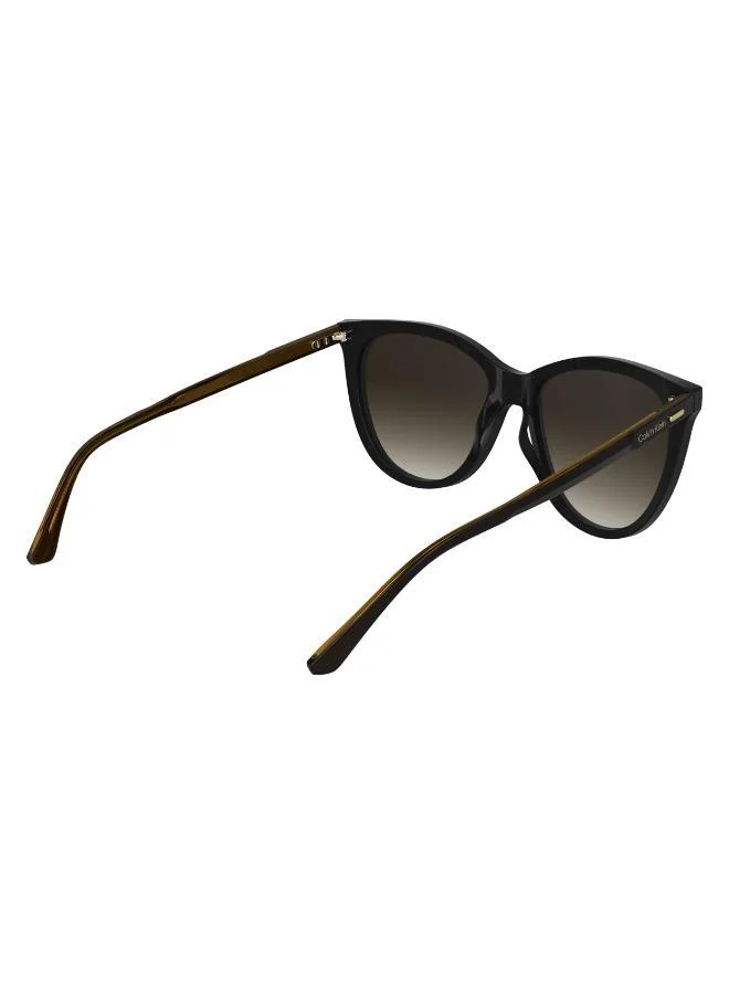كالفن كلاين Butterfly Sunglasses