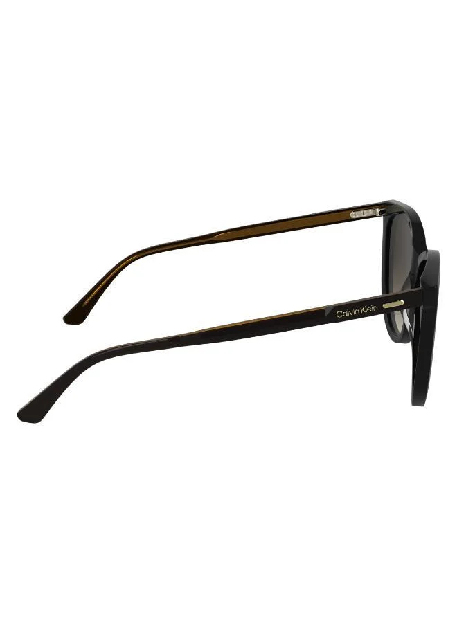 كالفن كلاين Butterfly Sunglasses