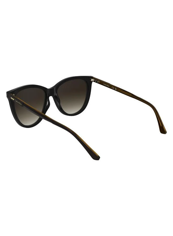 كالفن كلاين Butterfly Sunglasses