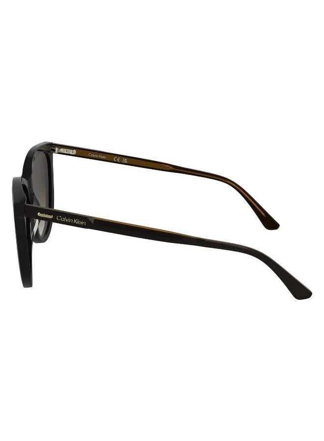 كالفن كلاين Butterfly Sunglasses