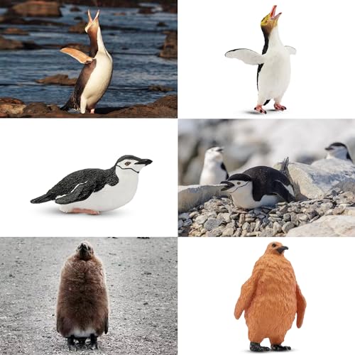 Toymany 12PCS Realistic Penguin Figurines, Plastic Polar Antarctic Animal Figures Set with Penguin Cub, Easter Eggs Cake Toppers Christmas Birthday Gift for Kids Toddlers - Image 3