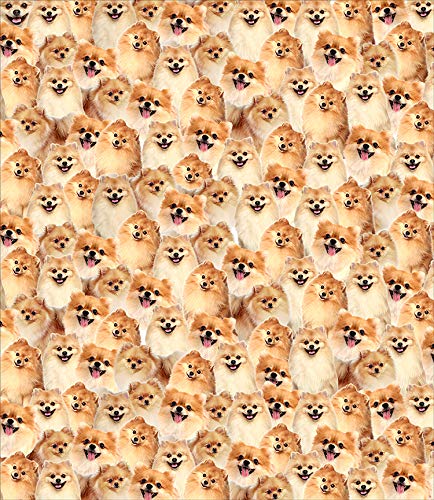 BlessLiving Pomeranian Throw Blanket Fuzzy Dogs Blanket for Kids People Cute Puppy Fleece Blanket Reversible Animal Pet Sherpa Couch Throw Pomeranian Gifts for Pomeranian Lovers (50 x 60 Inches) - Image 3