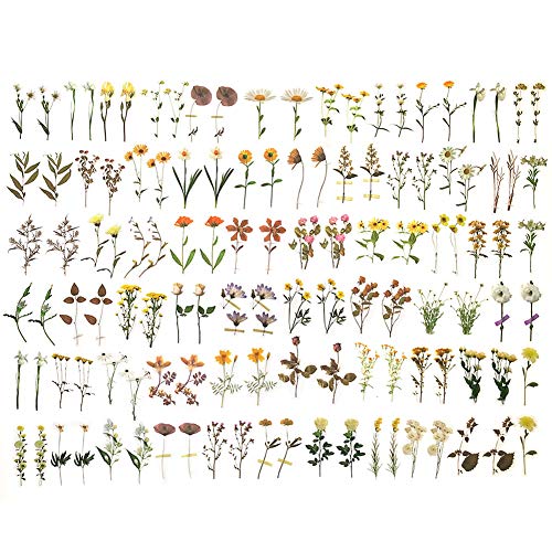 1000Art 120Pcs Natural Flower Stickers for Scrapbook, Transparent Dried Resin Floral Stickers Decals Stickers for Journaling Planner Wrapping DIY Crafts Cards Album Water Bottles Phone Cases Laptops - Image 3
