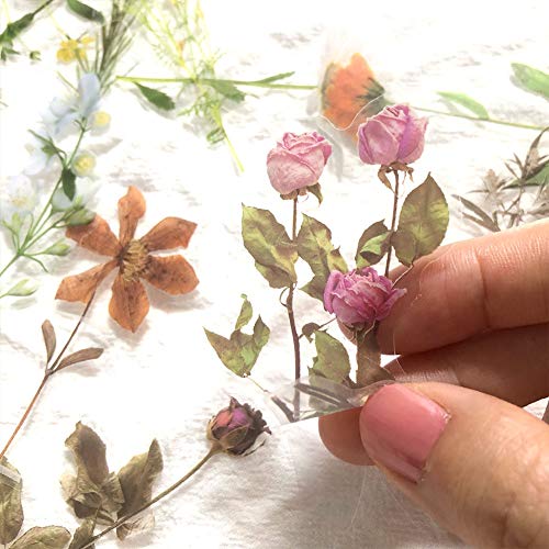 1000Art 120Pcs Natural Flower Stickers for Scrapbook, Transparent Dried Resin Floral Stickers Decals Stickers for Journaling Planner Wrapping DIY Crafts Cards Album Water Bottles Phone Cases Laptops - Image 5