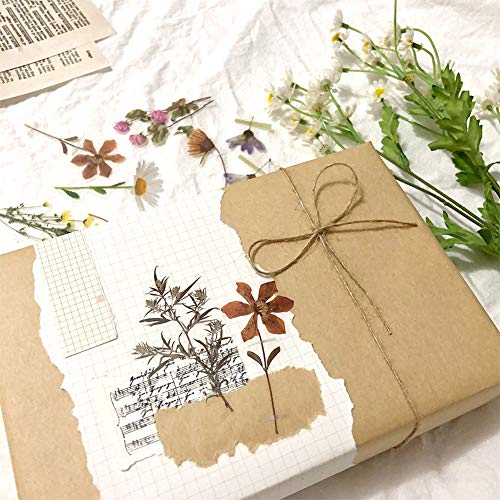 1000Art 120Pcs Natural Flower Stickers for Scrapbook, Transparent Dried Resin Floral Stickers Decals Stickers for Journaling Planner Wrapping DIY Crafts Cards Album Water Bottles Phone Cases Laptops - Image 2