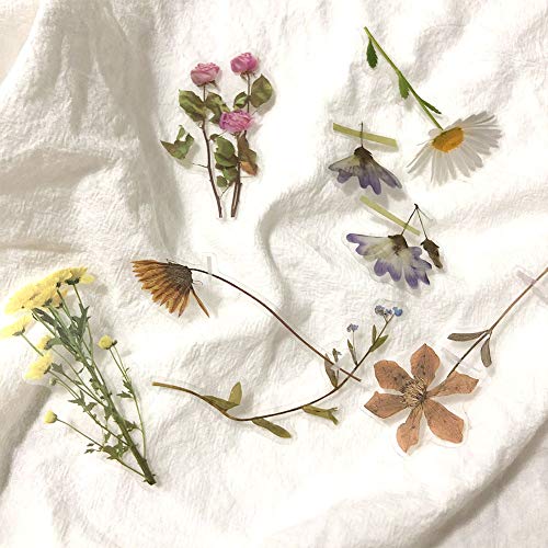 1000Art 120Pcs Natural Flower Stickers for Scrapbook, Transparent Dried Resin Floral Stickers Decals Stickers for Journaling Planner Wrapping DIY Crafts Cards Album Water Bottles Phone Cases Laptops - Image 4