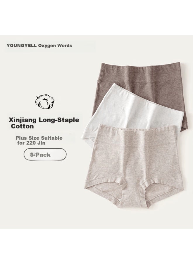 Youngyell Women's High-waist Cotton Boxer Briefs 3-pack Antibacterial Plus Size Mom Underwear - Image 1