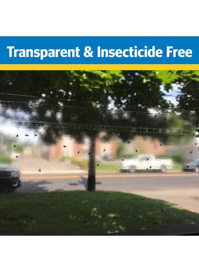 Raid Window Fly Trap, 4ct (Pack of 1) - Image 3