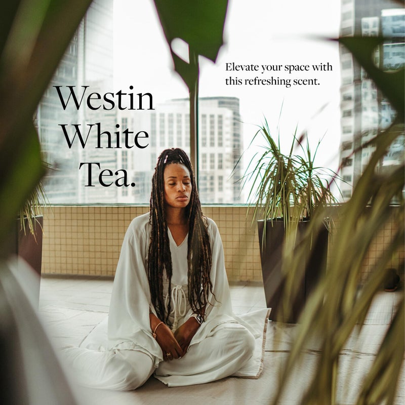 Westin Mini Home Diffuser Refill | Authentic White Tea Scent | Hotel Collection Refill Capsule | Up to 300 Hours | Notes of White Tea, Cedar, Vanilla | Waterless Fragrance for Plug-in Wall Diffusers - Image 4