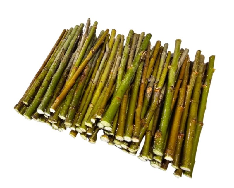 CZ Grain 6 Inch Willow Log Sticks - Pencil Thickness or Smaller - Crafting, Vase Filler, Natural Twigs Sticks for Crafting, DIY School Projects, Card Making, Embellishments & Photo Props (50 Sticks) - Image 1