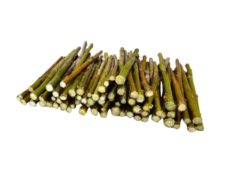CZ Grain 6 Inch Willow Log Sticks - Pencil Thickness or Smaller - Crafting, Vase Filler, Natural Twigs Sticks for Crafting, DIY School Projects, Card Making, Embellishments & Photo Props (50 Sticks) - Image 3