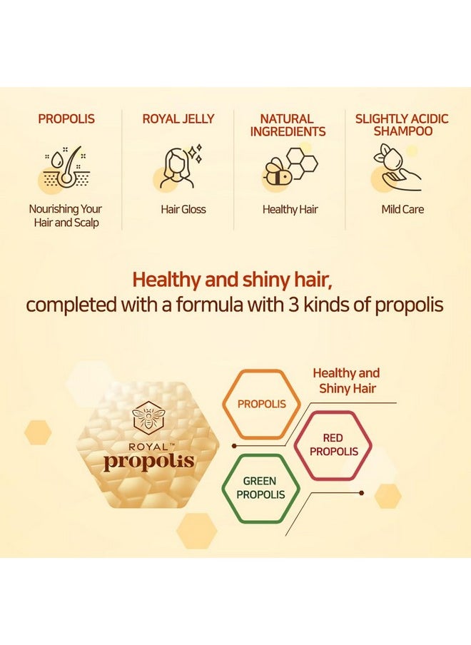 Kerasys Propolis Royal Jelly Extract Green Tea Olive Oil Shiny And Healthy Hair Propolis Green Moisture 33.8 Fl Oz / 1L (Shampoo + Treatment Set)  - Image 5
