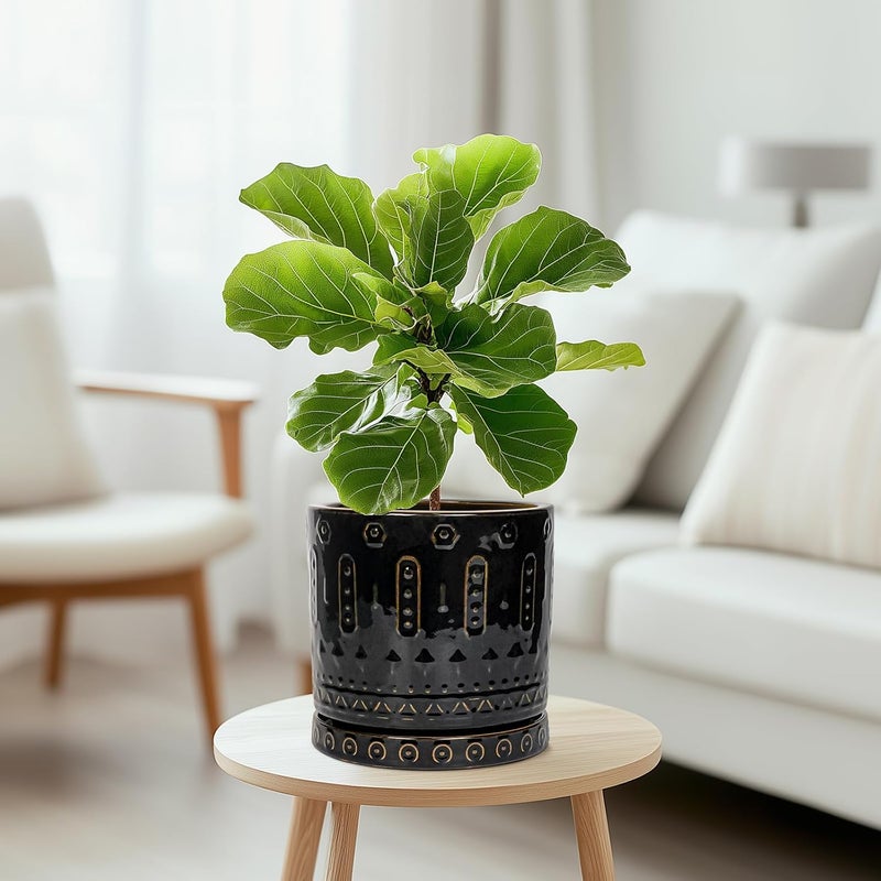 Eightpot Ceramic Pot for Plants - 8 Inch Plant Pots Indoor with Drainage Hole and Saucer, Decorative Round Planter Outdoor, Boho Ceramic Planter for Flower, House Garden Decor, Gardening Gifts, Black - Image 5