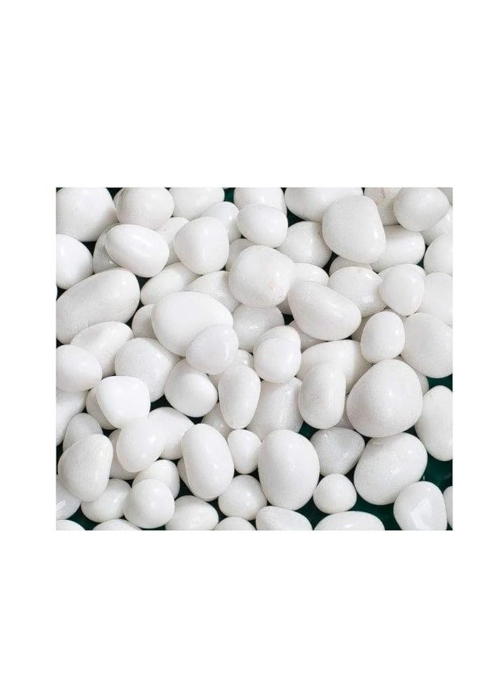 Schmick Schmick 1 Kg Polished White Pebbles Stones for Plant pots, Aquarium/Fish Tank, Decorations, Garden, Tables, and Home Decor (1 Kg, White Stone) 