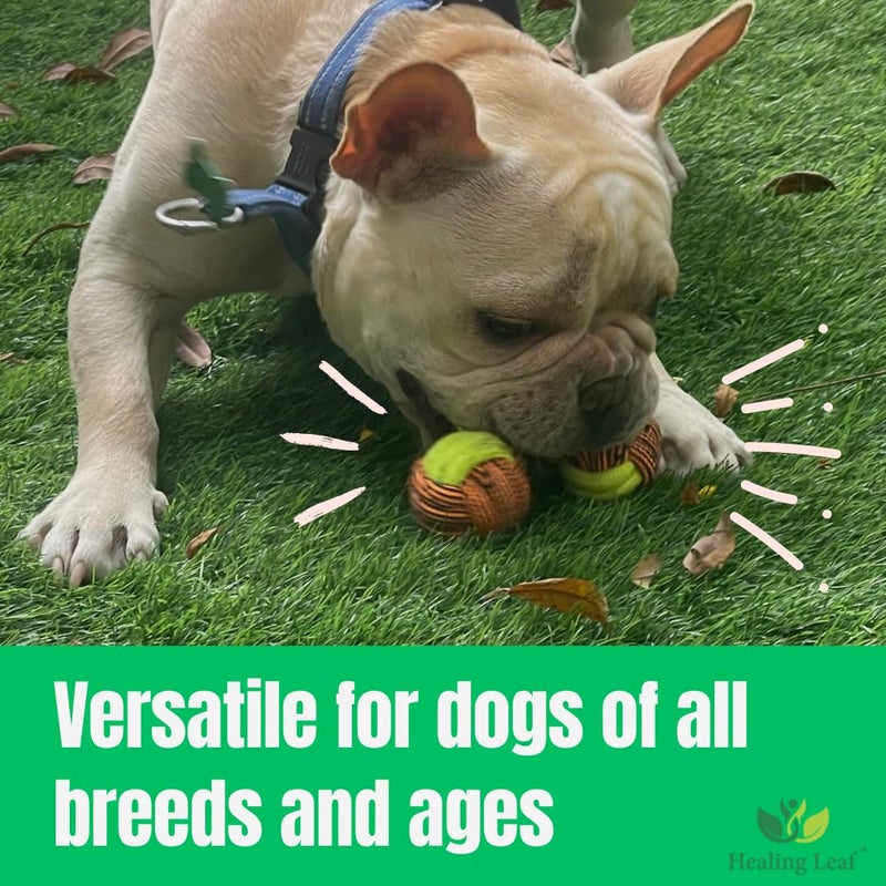 Healing Leaf Cotton Rope Toys | for Chewing, Teething, Playing & Training | All Breed & Sizes |Puppy, Small, Medium and Largw Dogs (Color May Vary) - Image 5