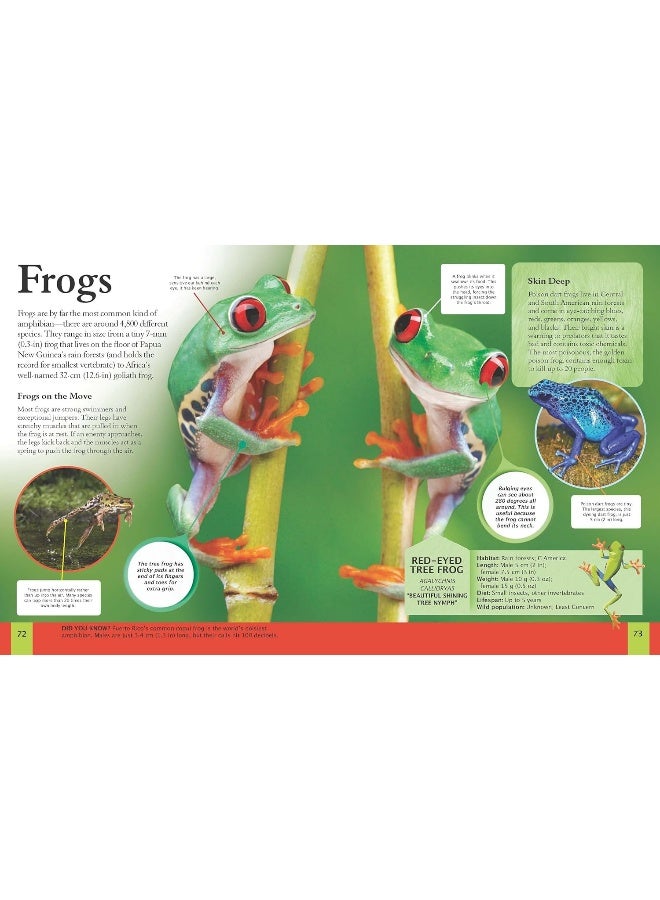 The Animal Book: Take a Walk on the Wild Side! - Image 3
