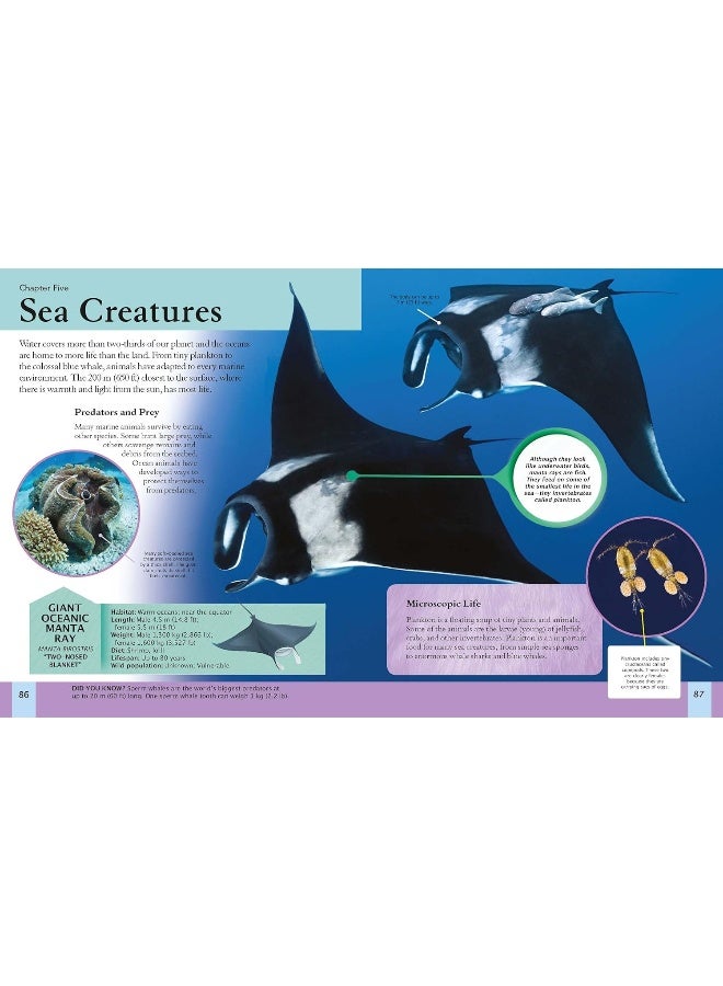 The Animal Book: Take a Walk on the Wild Side! - Image 4