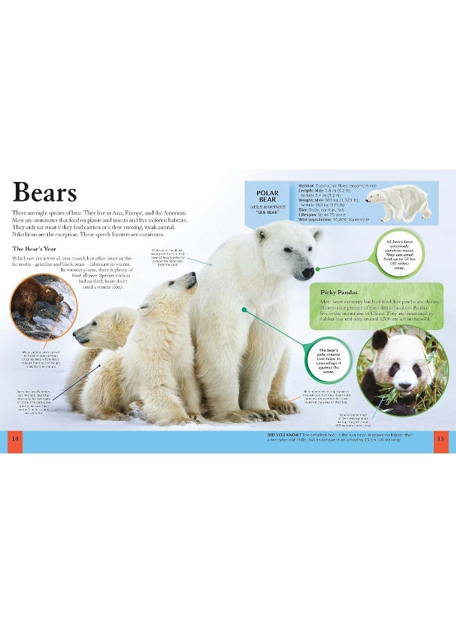 The Animal Book: Take a Walk on the Wild Side! - Image 2