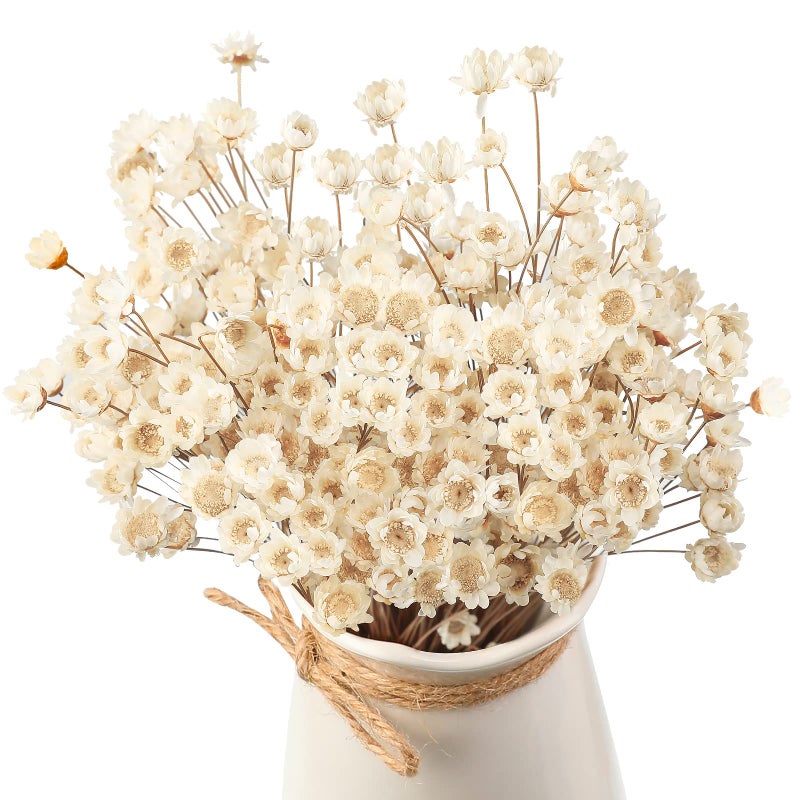WILLBOND 200 Pcs Natural Dry Flowers White Mini Dried Star Daisy Floral Decorative Chamomile Bouquet for Wedding Floral Arrangements Home Vase Decorations