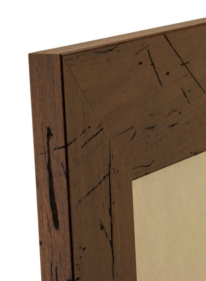 Craig Frames Bauhaus 200, Rustic Dark Walnut Brown Picture Frame, 16 by 23-Inch - Image 4