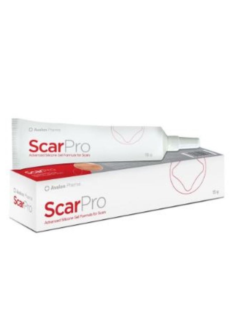 Scar Pro Silicone Gel 15g - pzsku/ZA219EC2805197C137553Z/45/_/1725303363/59406a6b-7e36-4189-bb61-1f8a680c2bd8