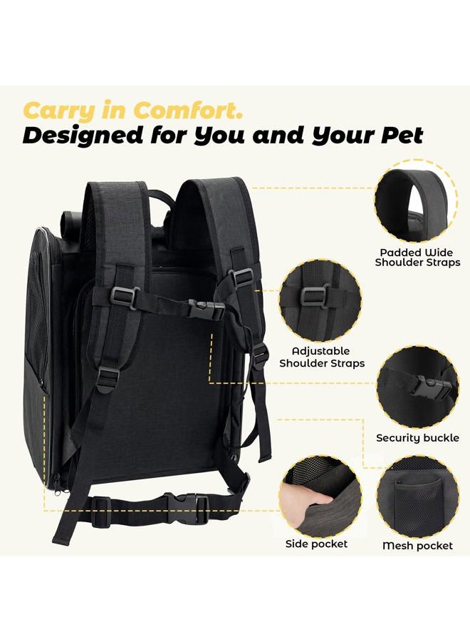 Zavothy Expandable Pet Backpack Carrier for Small Cats & Dogs, Airline Approved Travel Bag with Mesh Windows, Expandable Space, Padded Bottom, Foldable Design (Black/Grey) - Image 4