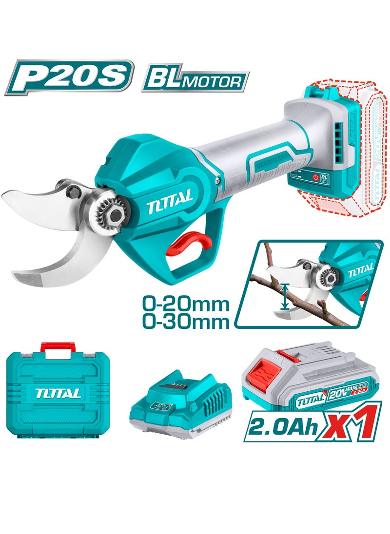 TOTAL Total Lithium-ion Gauge Straight Shear P20s (20V) - Cordless Electric Shears with Brushless Motor, 20mm/30mm Cutting Diameter, Includes 2.0Ah Battery, Charger, Oil Bottle & Sharpening Stone - Perfect for Cutting Sheet Metal, PVC, and More  - Image 1