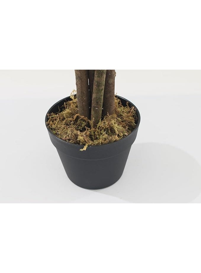 MARCOLO Artificial Olive Tree in Black Pot, Faux Potted Plant with Realistic Leaves and Olives, Indoor Decor (150cm) - Image 3