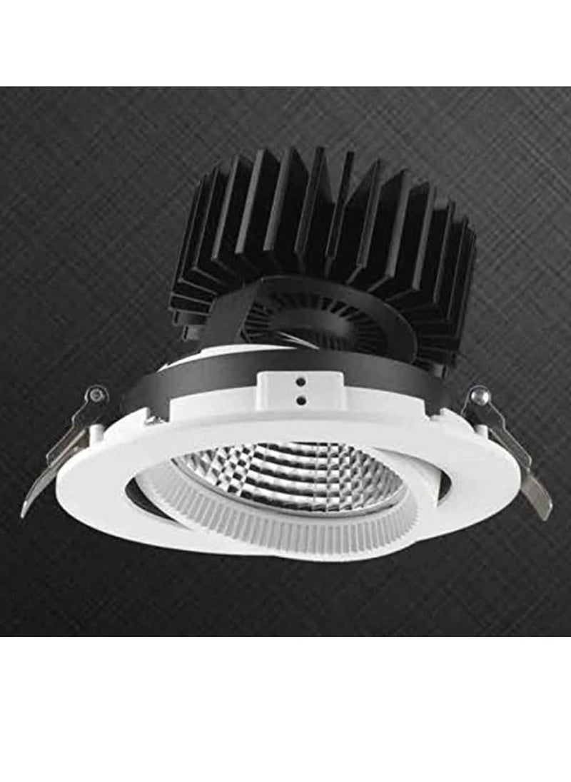 Zal Luminer 4018 Adjustable Accessed Down Light 44W Black - pzsku/ZA21C5A54FA3540324D84Z/45/_/1650006067/c267e9d0-18c3-4167-8eae-3345b3ab888c