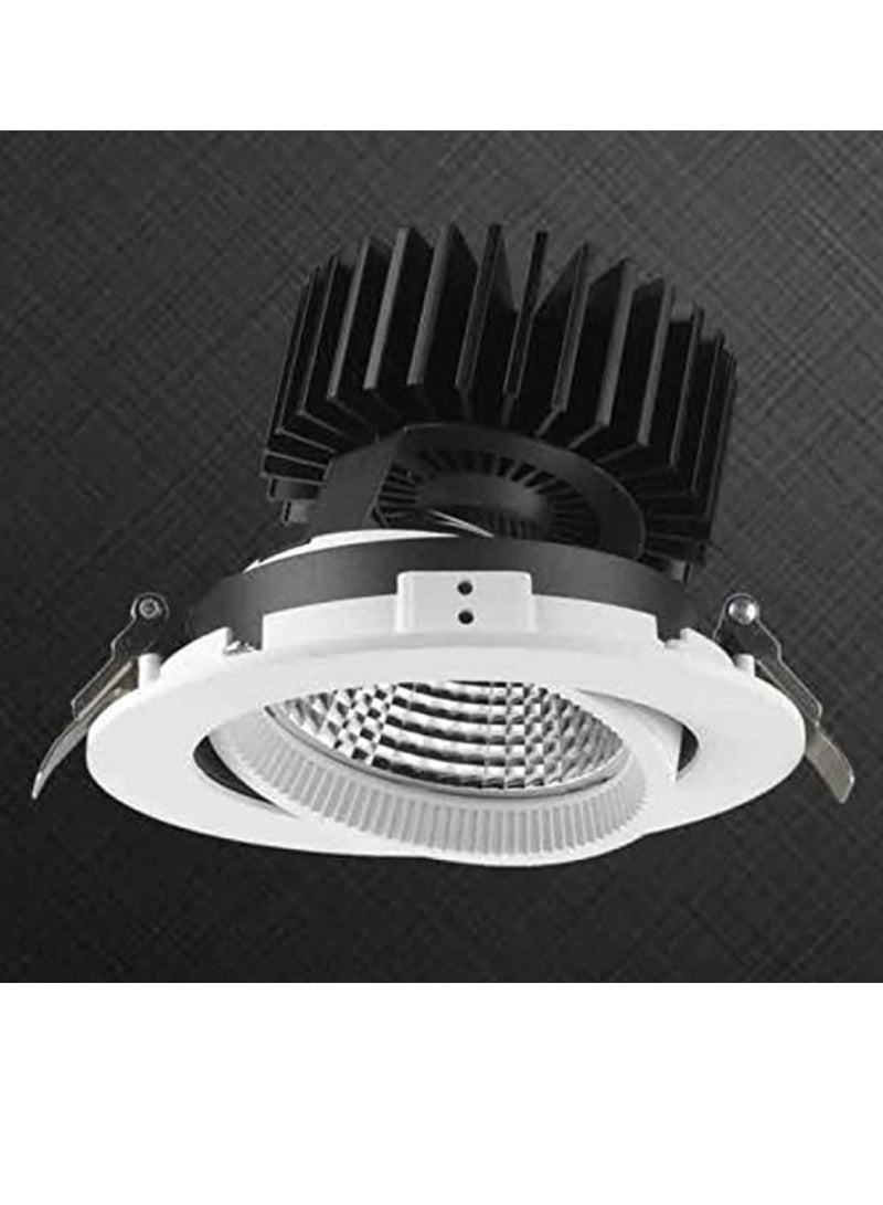 Yuwell Zal Luminer 4018 Adjustable Accessed Down Light 44W Black 