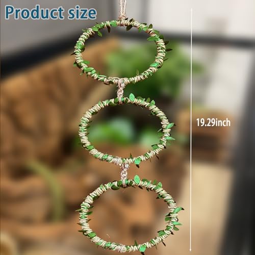 Delllala Snake Climbing Rings for Ball Python- Enclosure Accessories – Reptile Habitat Decor, Climbing Branches & Bedding for Ball Python, for Corn Snake Enhancement Ring Toys - Image 2