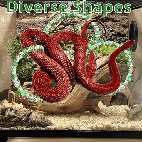 Delllala Snake Climbing Rings for Ball Python- Enclosure Accessories – Reptile Habitat Decor, Climbing Branches & Bedding for Ball Python, for Corn Snake Enhancement Ring Toys - Image 4