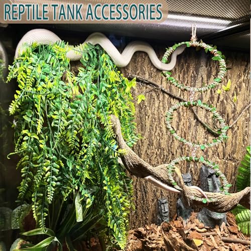 Delllala Snake Climbing Rings for Ball Python- Enclosure Accessories – Reptile Habitat Decor, Climbing Branches & Bedding for Ball Python, for Corn Snake Enhancement Ring Toys - Image 3