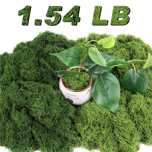 Jollidecor 1.54 LB Fake Moss for Crafts, Artificial Decorative Light Green and Dark Green Faux Moss DIY Fairy Garden Decor for Indoor Decor - Image 1