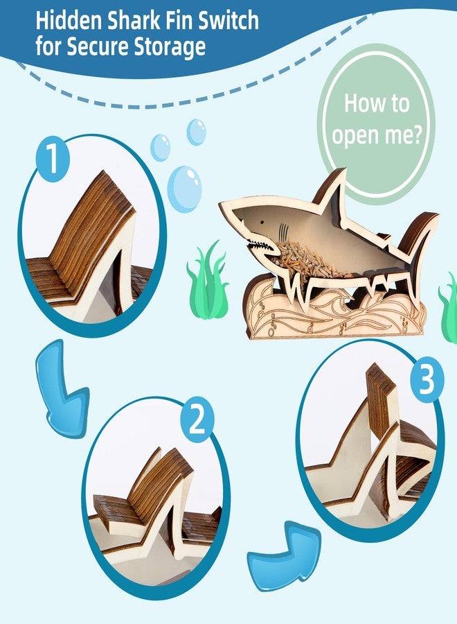 swakuszy Shark Tooth Display Case 14 Inch Wooden - Large Shark Tooth Holder for Collectors, Shark Teeth Holder Case for Shark Tooth Display and Storage - Solid Wood Shark Tooth Collection Case - Image 3